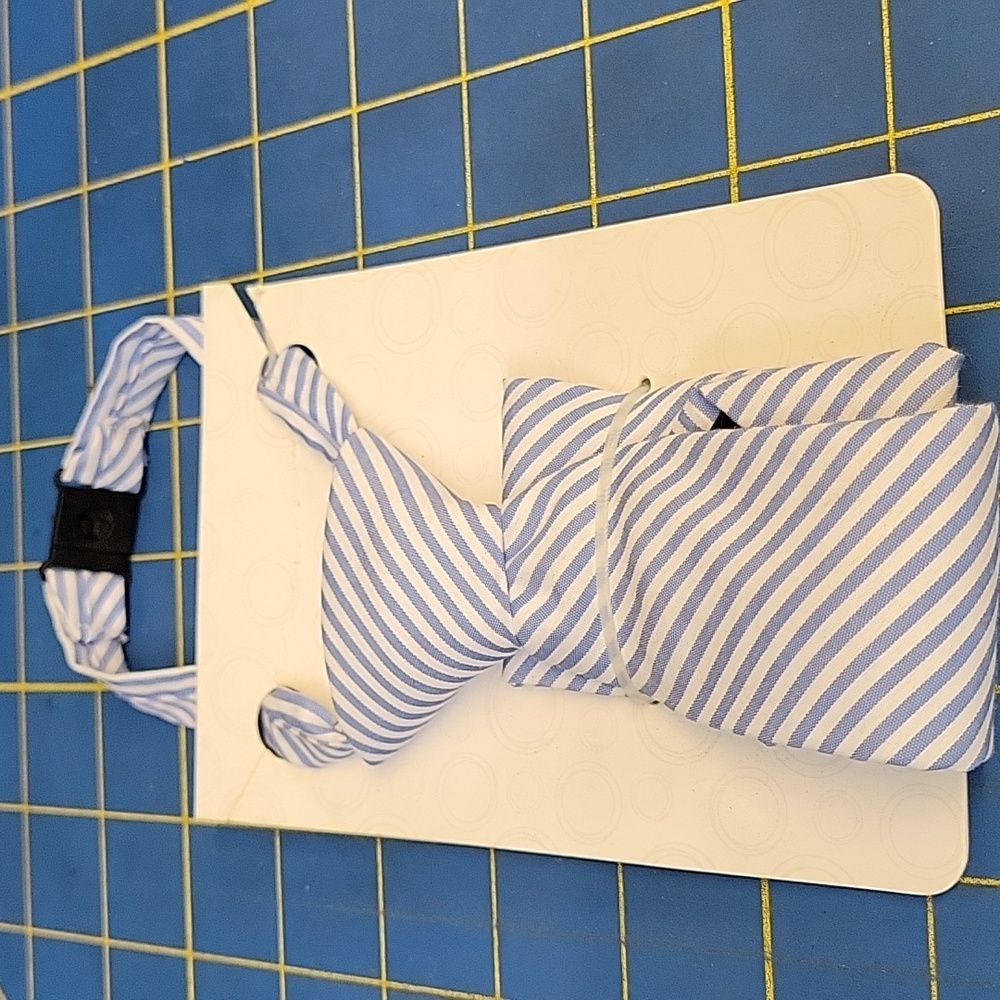 One Size Blue & White Striped Zipper Tie